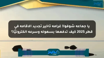 يا جماعة شوفوا! غرامة تأخير تجديد الإقامة في قطر 2025 كيف تدفعها بسهولة وسرعة إلكترونيًا؟